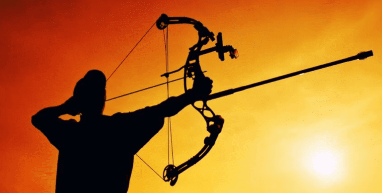 The history of archery