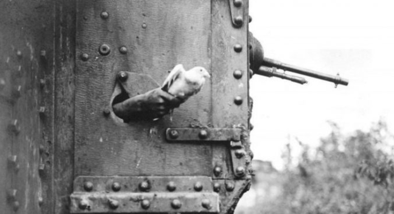 Famous war pigeons