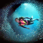 The history of diving